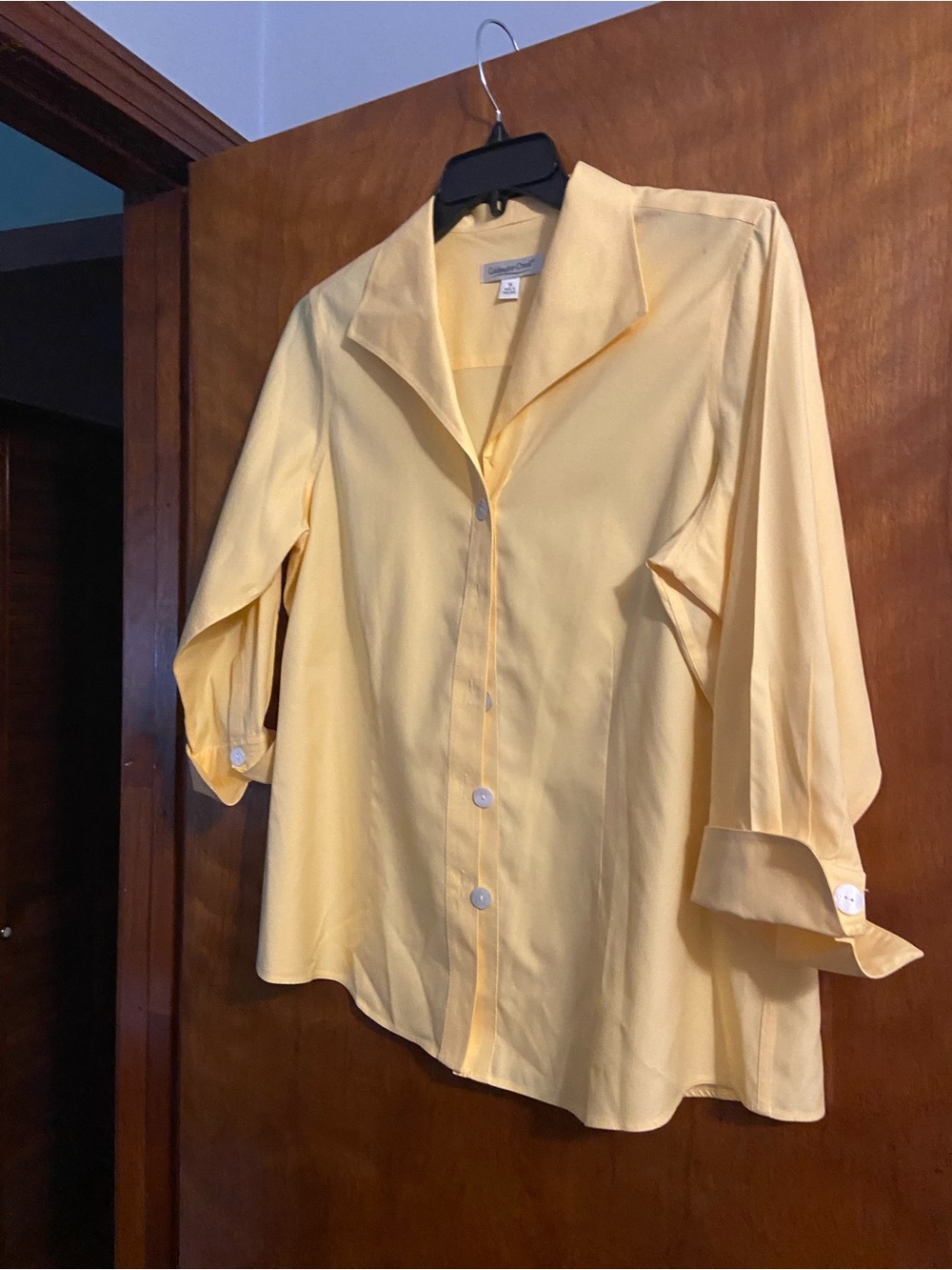 Coldwater Creek Pale Yellow Button-Front Women's Blouse